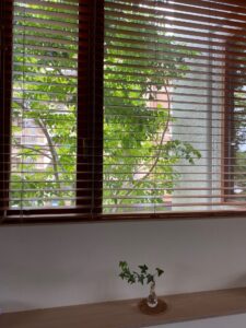 Wooden blinds partially open over a windowsill; outside, a leafy green tree is visible. A small potted plant sits on the interior wooden ledge.